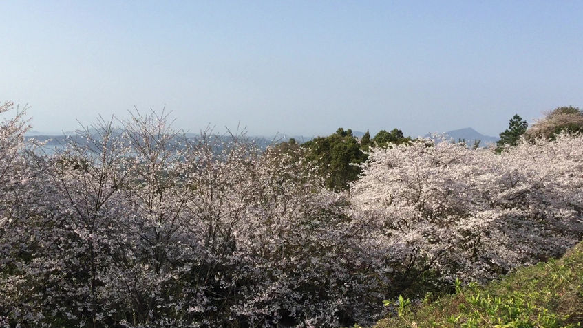 千巌山　2018，3，27